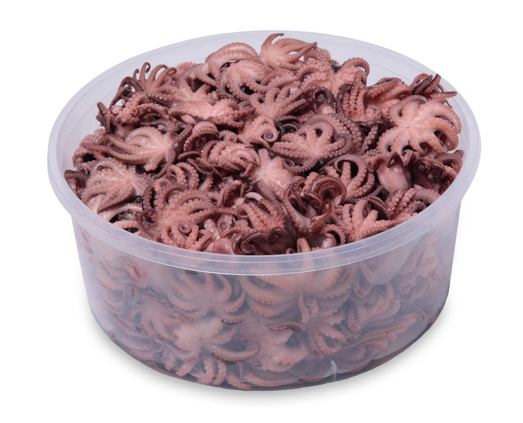 baby-poulpe-en-seau-1-3-et-5-kg-sous-huile-meditarraneanfood-export-com.jpg.jpg